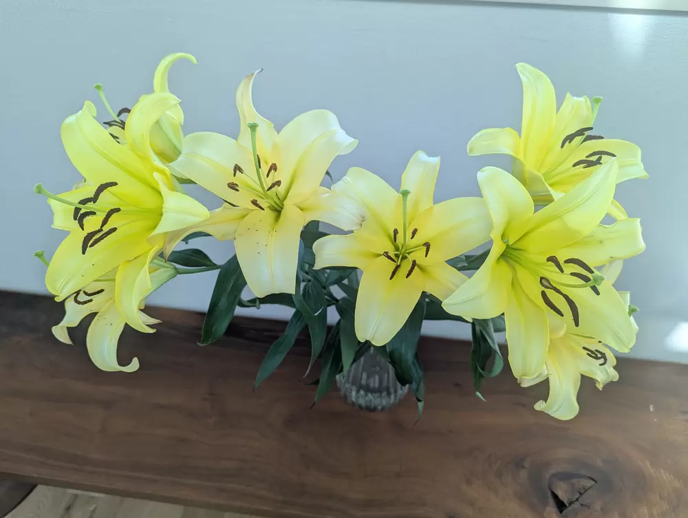 GW期間のお知らせの画像