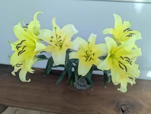 GW期間のお知らせの画像